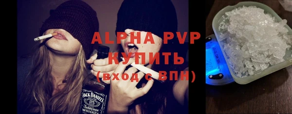 винт Вяземский