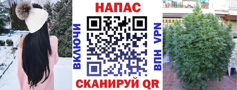 Шишки марихуана марихуана  hydra ссылка  Заинск  даркнет сайт 